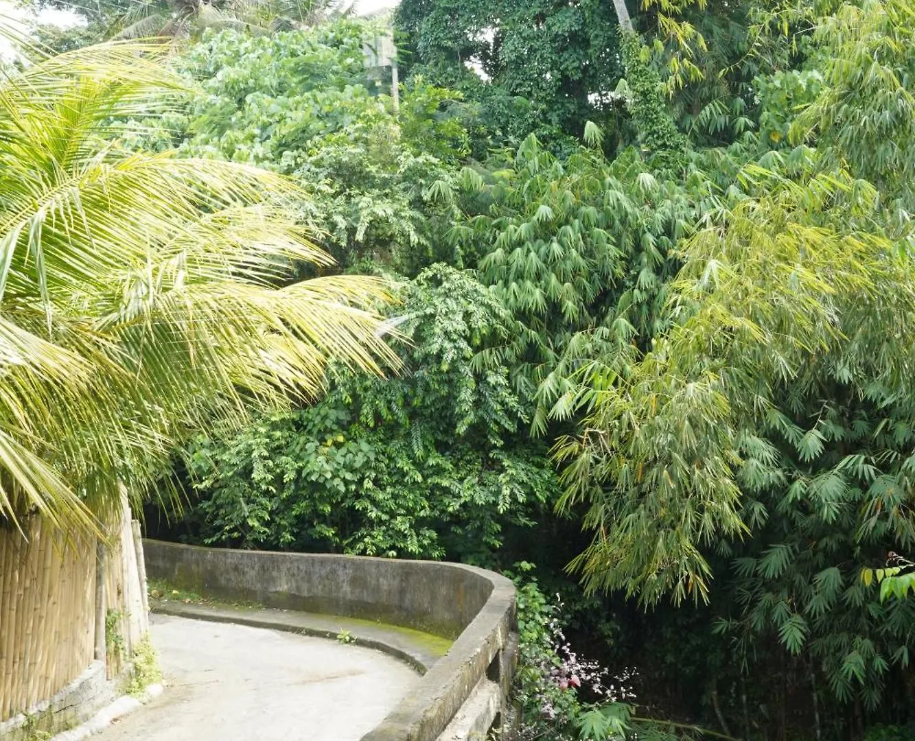 Central House Ubud  0*, Ubud (Bali)