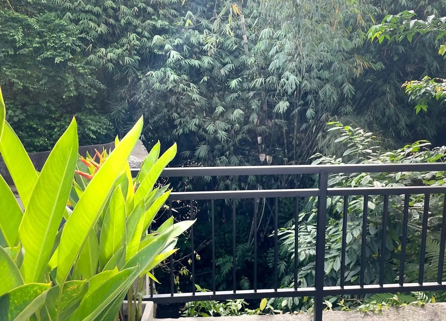 Villa Central House Ubud  Indonesia